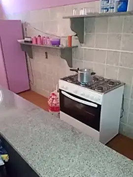 Cachorrinha2025 online show from November 2025 02:50:01 PM