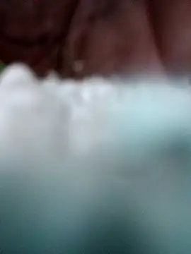 panganamno online show from October 2025 06:28:02 PM