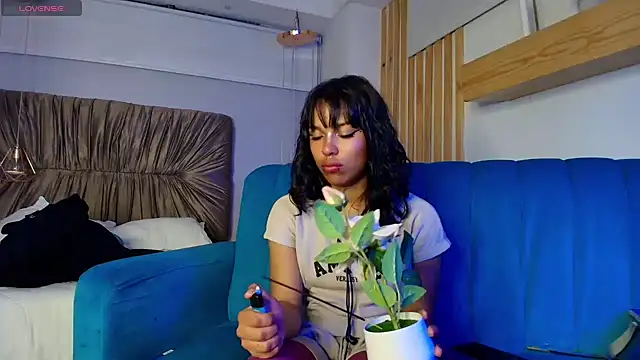 Dakashyten online show from July 2026 03:46:01 AM