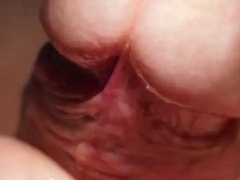 Kadazano online show from April 2026 03:01:02 PM