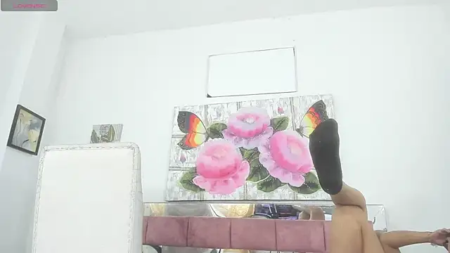 barbie ds online show from November 2025 12:04:01 PM