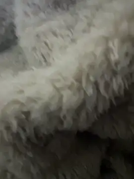 futsam653 online show from November 2025 09:21:01 AM