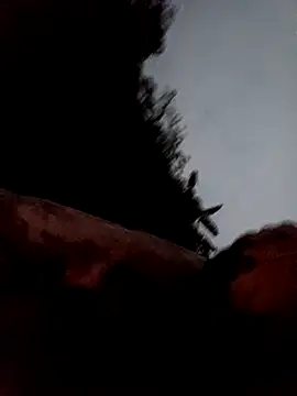 callistra online show from March 2026 11:28:02 AM