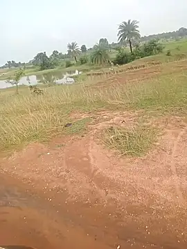 AgitatedStrip9 online show from September 2025 02:35:01 AM