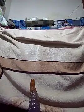 calntt28 online show from February 2026 02:12:02 PM