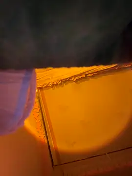 Tramy xx online show from January 2026 03:21:01 AM