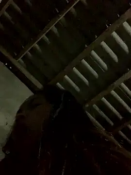 Halyy xx online show from January 2026 11:54:02 PM