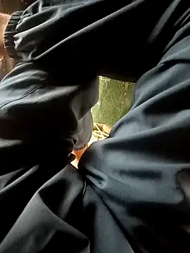 Snapshot of Mahadevm9 chatting on March 2026 04:17:02 AM Mahadevm9 online show from March 2026 04:17:02 AM