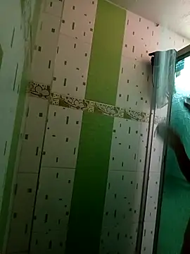 Snapshot of SALOME-28_ chatting on September 2025 12:09:02 PM SALOME-28 online show from September 2025 12:09:02 PM