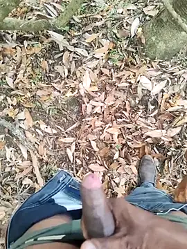 Snapshot of DICKLANKA chatting on September 2025 06:29:02 AM DICKLANKA online show from September 2025 06:29:02 AM