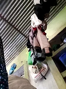 Haliya88 online show from March 2026 06:37:01 AM