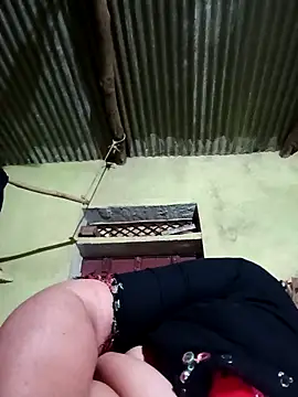 Haliya88 online show from March 2026 07:31:01 PM