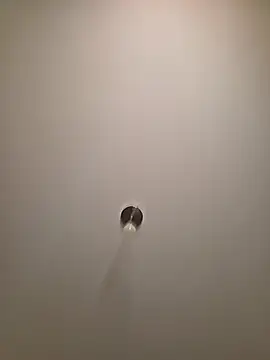 brunettebabexo3 online show from February 2026 05:52:01 PM