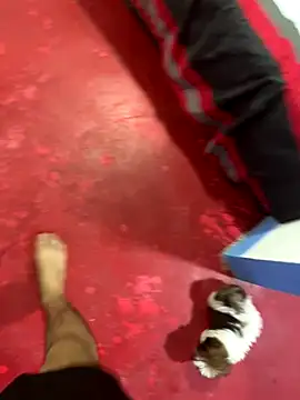 Snapshot of hot_duo16 chatting on October 2025 04:15:02 AM hot duo16 online show from October 2025 04:15:02 AM