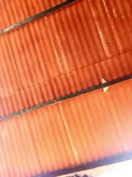 Snapshot of Goofygoody17 chatting on February 2026 10:29:02 AM Goofygoody17 online show from February 2026 10:29:02 AM