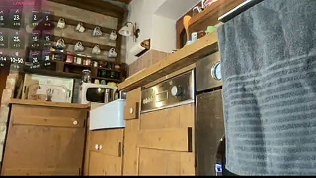 Snapshot of vani_vibez chatting on November 2025 05:02:01 PM vani vibez online show from November 2025 05:02:01 PM