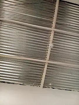 Snapshot of kingbickcockDn chatting on November 2025 05:35:02 PM kingbickcockDn online show from November 2025 05:35:02 PM