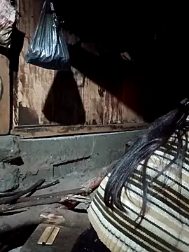 bree-zz online show from March 2026 10:16:02 PM