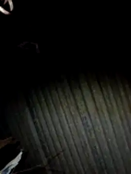 Rs sonam online show from February 2026 03:31:02 PM