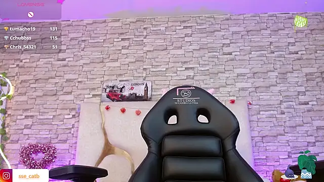 Snapshot of casse_tay chatting on February 2026 07:51:01 AM casse tay online show from February 2026 07:51:01 AM