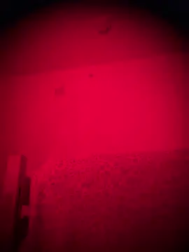 bellacagyal online show from February 2026 09:19:02 AM