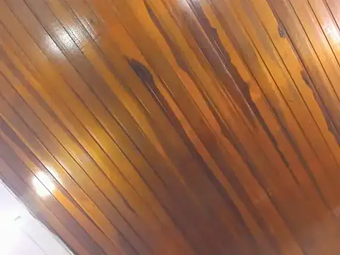 AliceCat 01 online show from November 2025 04:33:02 AM