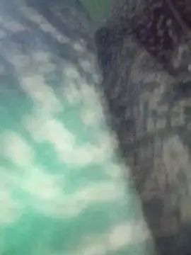 Na shreya online show from March 2026 12:21:01 AM