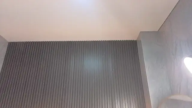 Terry tx online show from December 2025 01:05:02 PM