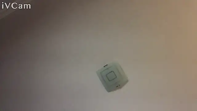 XxvanxX online show from November 2025 06:50:01 PM