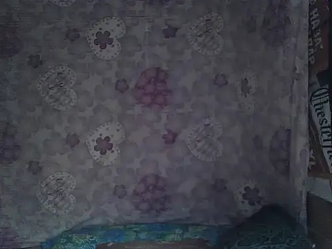 joy cute online show from January 2026 11:20:01 PM