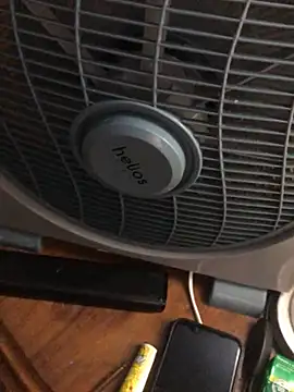 Snapshot of -bunny06 chatting on October 2025 07:10:02 PM -bunny06 online show from October 2025 07:10:02 PM