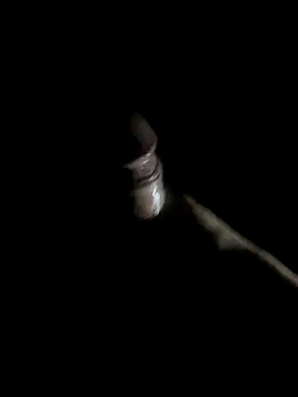 Snapshot of -bunny06 chatting on October 2025 09:52:01 AM -bunny06 online show from October 2025 09:52:01 AM