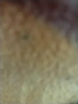 PEEHU-50 online show from February 2026 03:27:02 AM