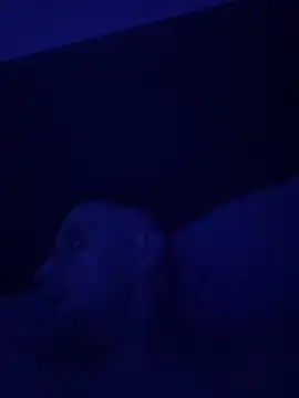 Wearpantyhosenorfolk online show from April 2026 04:43:02 AM