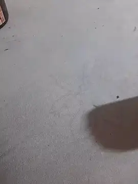 JuDilva8451 online show from November 2025 11:58:01 PM