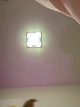 taotaobo online show from December 2025 02:21:01 PM