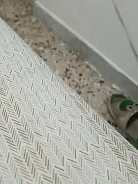 Lucastra98 online show from November 2025 08:14:01 AM