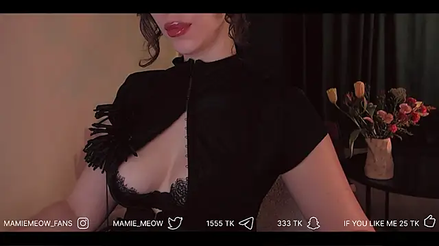 Snapshot of Mamiemeow chatting on April 2026 06:14:01 AM Mamiemeow online show from April 2026 06:14:01 AM