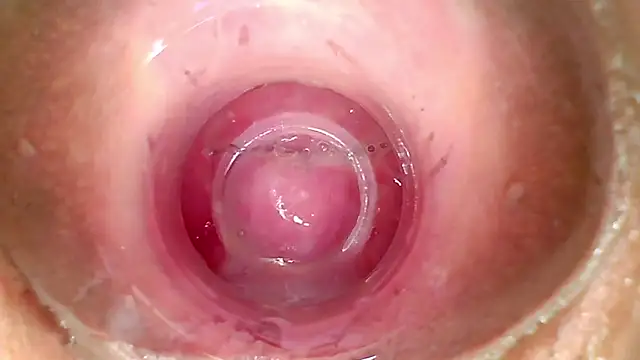 shannon kinne  online show from April 2026 02:25:02 PM