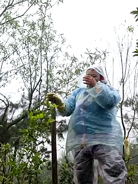 miomio-12 online show from November 2025 02:28:02 AM