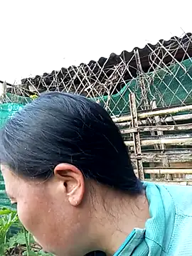 jerry-xx online show from January 2026 09:57:01 AM