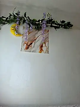 Snapshot of Nika_aa chatting on July 2026 08:19:01 AM Nika aa online show from July 2026 08:19:01 AM