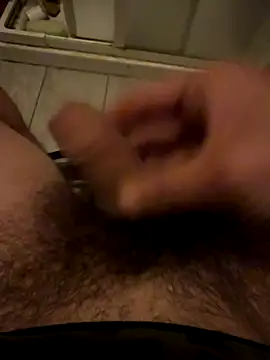 Theanimals online show from November 2025 11:49:02 PM