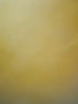 tamil-mala23 online show from October 2025 11:44:02 AM