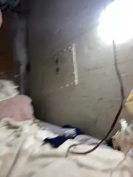 Snapshot of Nectarioteins chatting on February 2026 05:24:01 AM Nectarioteins online show from February 2026 05:24:01 AM