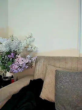 Kiaraa88 online show from February 2026 11:15:01 AM