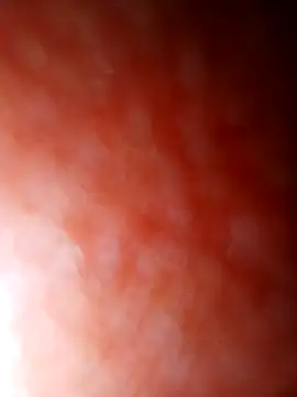 jhbswto online show from October 2025 09:48:02 PM