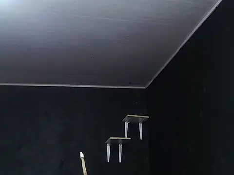 Liastark online show from November 2025 10:41:02 AM