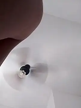 Camilanifeta online show from February 2026 05:44:02 PM