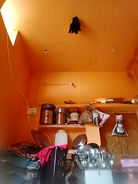 Abhilasha hot34 online show from December 2025 04:30:02 AM